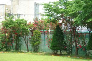 1948417540_G9eo15qV_1024