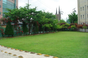 1948417540_UxlhdXC1_1061