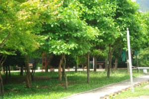 1948417540_hywQNCno_1020