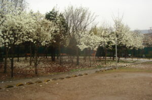 1954244682_KlGFTocH_DSC04239