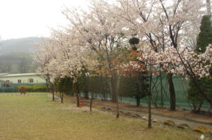 1954244682_NRLuXsyG_DSC04236