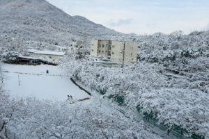 ChatGPT Image 2026년 2월 6일 오전 10_05_33