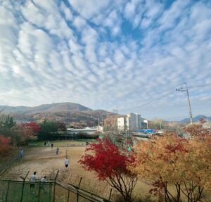 KakaoTalk_20260205_145959474