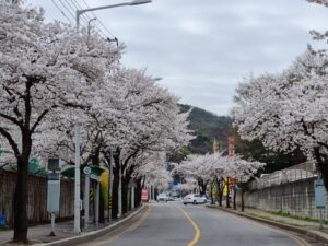 KakaoTalk_20260205_155932186