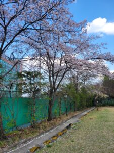 KakaoTalk_20260206_101916823