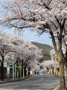 KakaoTalk_20260206_102404946