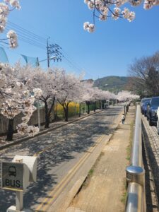 KakaoTalk_20260206_102404946_01