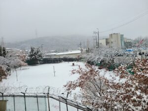 KakaoTalk_20260206_102404946_02