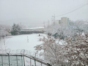 KakaoTalk_20260206_102404946_03