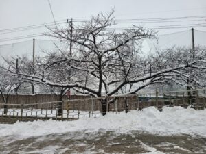 KakaoTalk_20260206_102404946_04