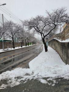 KakaoTalk_20260206_102404946_05