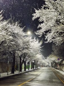 KakaoTalk_20260206_102404946_06