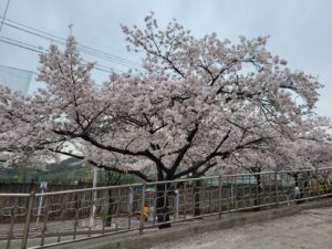 KakaoTalk_20260206_102404946_07