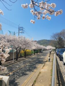 KakaoTalk_20260206_102404946_08