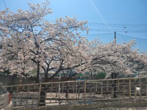 KakaoTalk_20260206_102404946_09