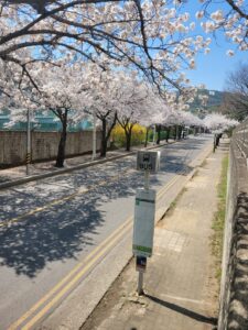 KakaoTalk_20260206_102404946_10